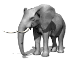 elefante-75.gif