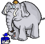 elefante-76.gif