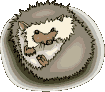 Erizos-05.gif