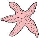 Estrellas-de-Mar-04.gif