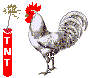 Gallos-18.gif