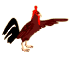 Gallos-24.gif