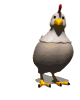 Gallos-31.gif