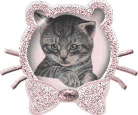 Gatos-01.gif