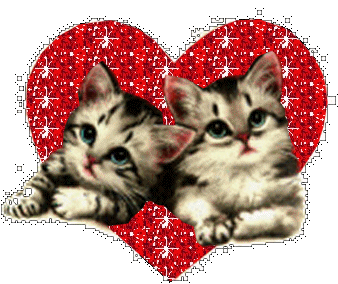 Gatos-02.gif