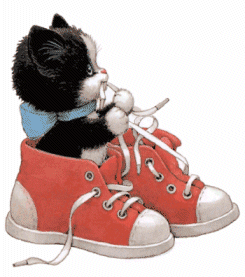 Gatos-117.gif