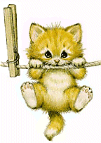 Gatos-118.gif