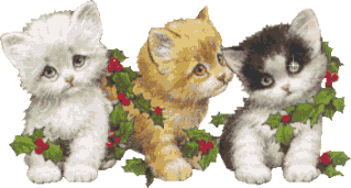 Gatos-126.gif