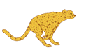 Guepardo-04.gif