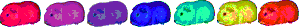 Hamster-21.gif