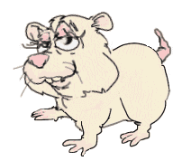 Hamster-34.gif