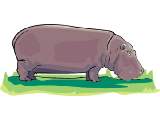 Hipopotamos-04.gif