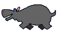 Hipopotamos-05.gif