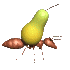 Hormigas-11.gif