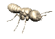 Hormigas-13.gif