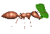 Hormigas-16.gif