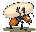 Hormigas-20.gif