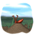 Hormigas-28.gif