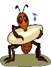 Hormigas-35.gif