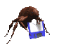 Hormigas-39.gif