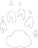 huella-04.gif
