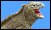 Iguana-01.gif