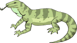 Iguana-03.gif