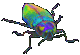 Insectos-01.gif