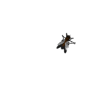 Insectos-04.gif