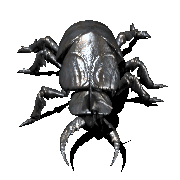 Insectos-21.gif