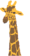 Jirafas-11.gif