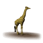 Jirafas-19.gif