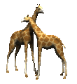 Jirafas-27.gif