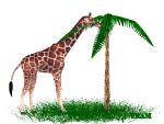Jirafas-30.gif
