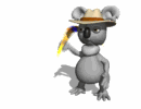 Koalas-07.gif