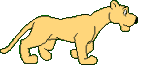 Leones-21.gif