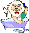 Leones-26.gif