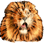 Leones-43.gif