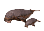 Manaties-03.gif