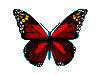 Mariposas-31.gif