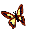 Mariposas-40.gif