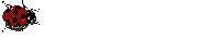 Mariquitas-12.gif