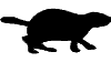 Marmotas-01.gif