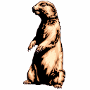 Marmotas-02.gif