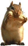 Marmotas-05.gif