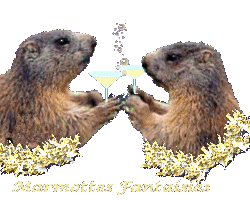 Marmotas-13.gif