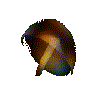 Medusas-05.gif