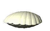Moluscos-08.gif