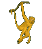 Monos-19.gif