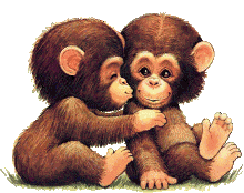 Monos-22.gif